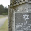Holocaust survivors more at risk of developing cancer