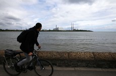 EPA finds 'moderate' infestation of flies at Poolbeg incinerator
