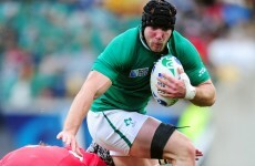 Wales lock Bradley Davies has been cited.... but so has Stephen Ferris