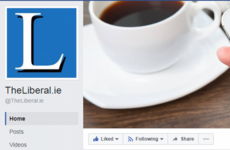 Founder of TheLiberal.ie to apologise for breaching copyright of court news service
