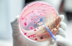 Opinion: 'Antibiotic resistance is one of the biggest threats to human health'