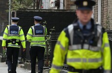 Every street in Dublin to have garda assigned to it by end of this year
