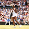 Venus becomes oldest Wimbledon finalist in 23 years as the dream ends for Konta