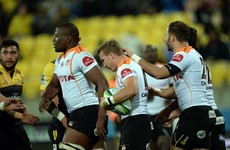 Cheetahs CEO all but confirms team's addition to PRO12 rugby
