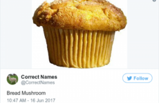 Just 15 quality tweets from @CorrectNames, your new favourite Twitter account