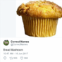 Just 15 quality tweets from @CorrectNames, your new favourite Twitter account