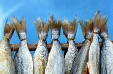 Are fisheries the first casualty in a Brexit split between Ireland and the UK?