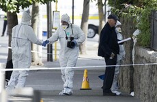 Man (29) arrested over murder of 56-year-old man in Swords