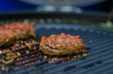 How did Ireland's horsemeat scandal spark a Europe-wide investigation?