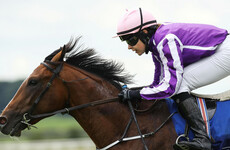 Ana O'Brien airlifted to hospital after bad fall at Killarney Races