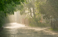 Status yellow rainfall warning issued for four counties
