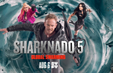 The 'Sharknado' phenomenon: making America bait again