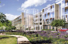 Johnny Ronan's plan for a €50 million sports hotel in Wicklow has been rejected
