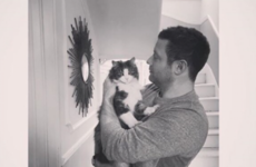 Dermot O'Leary shared a moving tribute to his cat Silver on Instagram after it passed away