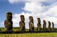 New insect found on Polynesian island in the Pacific