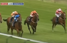 Shock 50/1 winner at Yarmouth turns out to be a completely different horse