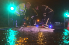 Fire services fight to bring massive water main breach under control in Clare