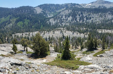 Search underway for Irishman who went missing on a hike in California