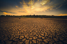 Deadly heat waves could hit South Asia this century