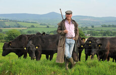 Country living: 'We'll always be blow-ins but our sons are locals, and root us here'
