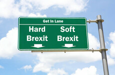 Senator Neale Richmond: 'Ireland should ask for a second Brexit referendum'