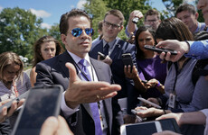 'We will eliminate the bad eggs': Document reveals Scaramucci had big plans before spectacular firing