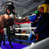 'This has become a fiasco. It's a circus': Malignaggi quits McGregor camp over leaked photos