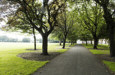 Locals demand that Dublin City Council save 109-year-old Fairview trees