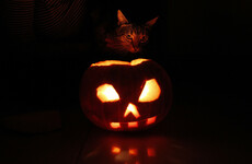 A 'world-class' Halloween could lure foreign tourists to Ireland's overlooked south-east