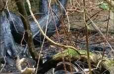 A campfire started a gorse fire in the Wicklow Mountains last night
