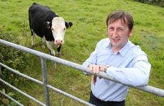 A Galway company has secured millions to market a bacteria-resistant device for sick cows