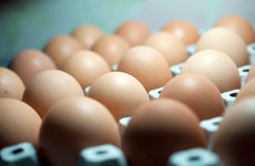 Thousands of contaminated eggs recalled in the UK - but no threat to Ireland yet