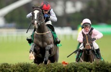 Unaccompanied to skip Cheltenham Champion Hurdle