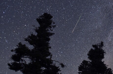 Irish stargazers warned the moon may spoil tonight's meteor shower