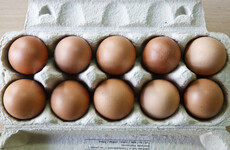 Explainer: What's all this about contaminated eggs, and are we at risk here in Ireland?