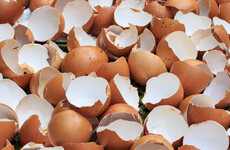 Row erupts between 3 European countries over how long they knew about the egg problem