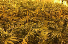 Three men turned an underground nuclear bunker into a £2m-a-year cannabis factory
