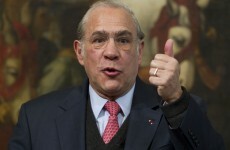 OECD sees signs of economic turnaround