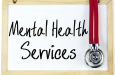 'The government have put their funding into mental health campaigns rather than services'