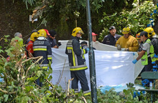 Three days of mourning in Madeira after falling tree kills 13 people