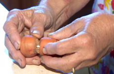 Wedding ring that went missing in 2004 turns up wrapped around carrot