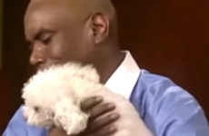 A video of Judge Judy letting a dog decide who his 'real' owner was during an ownership dispute has gone viral