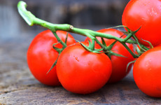 Gardening: Grow your own tomatoes - from seed to sauce