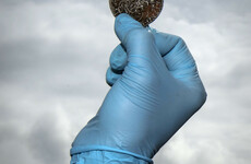 'A snapshot of a moment in time': Silver, shoes and bones found in wreck of Dutch ship