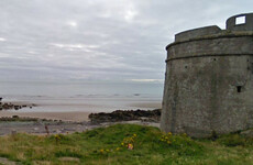 Swimming ban in place at Dublin beach over animal contamination