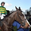 Synchronised saddled with top weight for 2012 Grand National