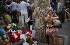 Spain attacks: What we know about the suspects