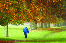 Poll: How many minutes a day do you walk?