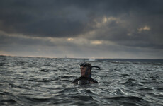 From blue whales to coral reefs - a new series will show the unexplored beauty of Ireland's Atlantic