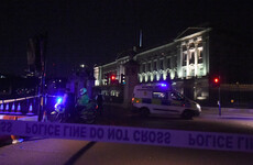 Man wielding four-foot sword injured three police officers near Buckingham Palace last night